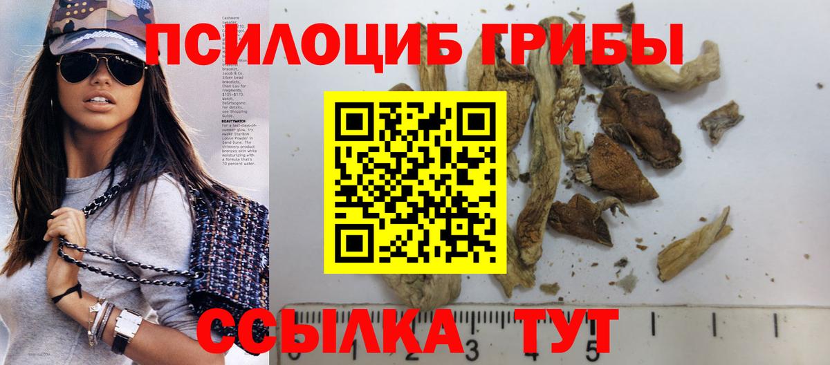 Галлюциногенные грибы Cubensis Мценск