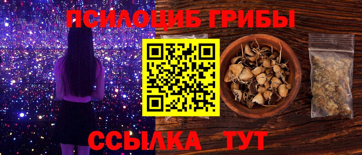 Псилоцибиновые грибы Cubensis  Вход с VPN  Мценск 